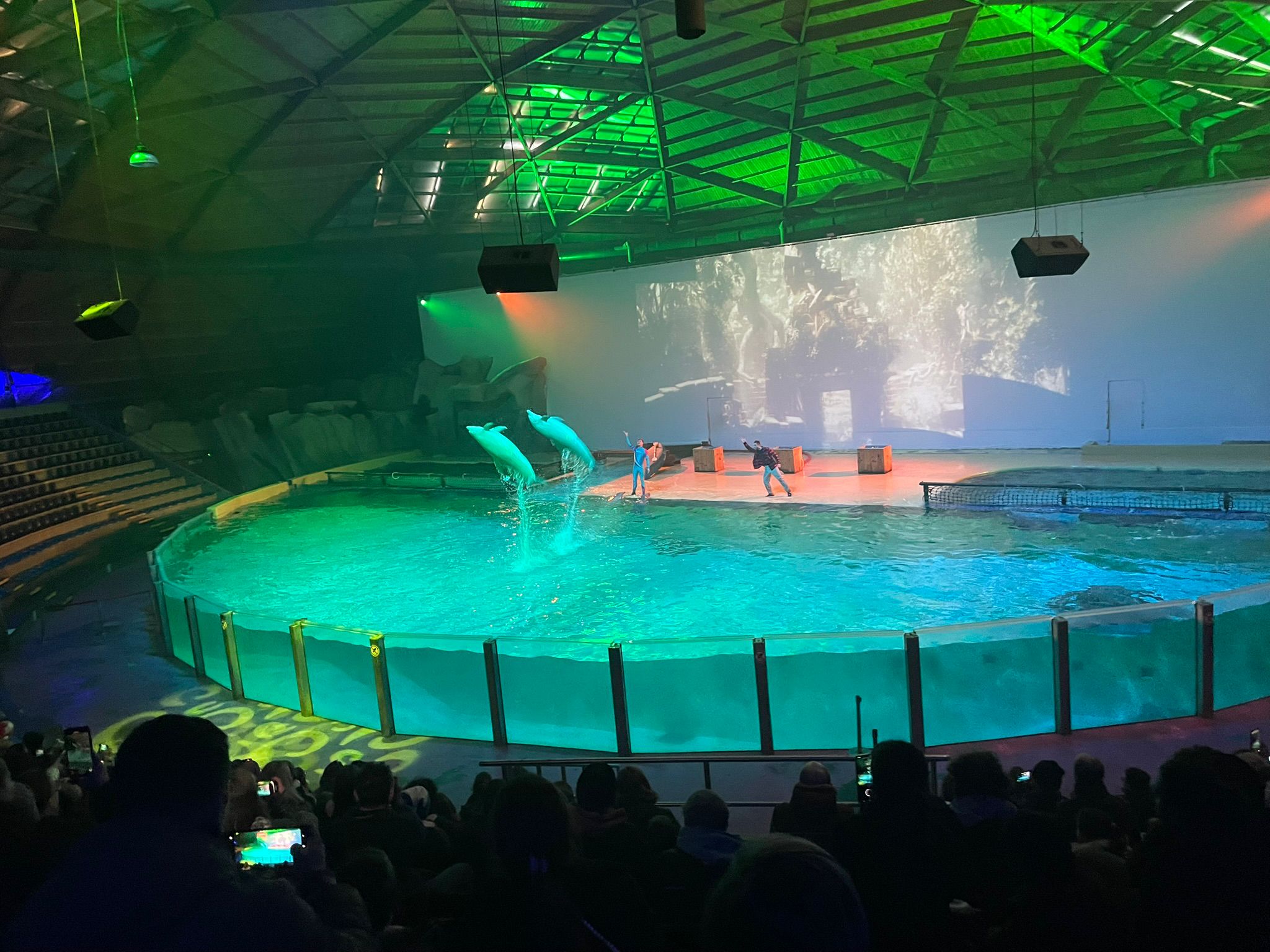 Sint-Martinus den XIIde - Winterkamp JVK 2024